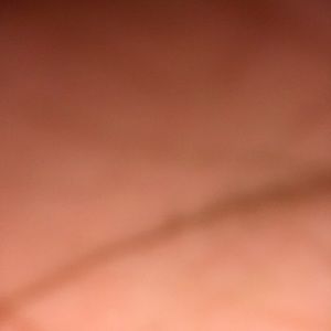 Meet your Posher, Dalemyne